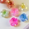 Aurora Bloom Hair Claw