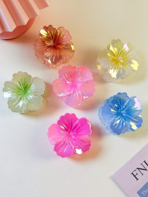 Aurora Bloom Hair Claw