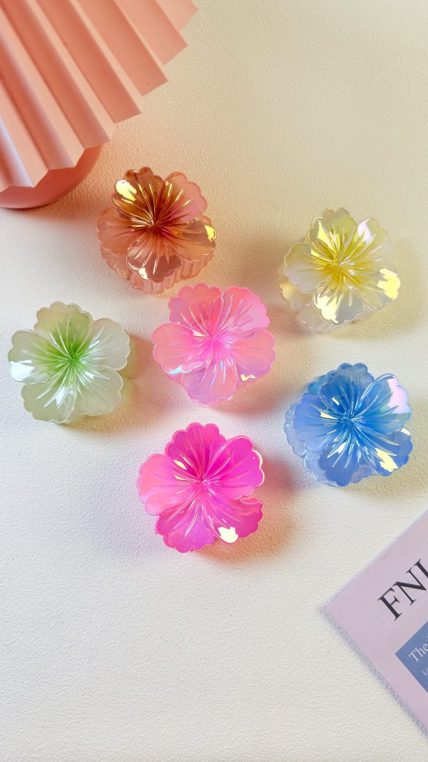 Aurora Bloom Hair Claw