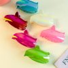 Aurora Glow Dolphin Claw