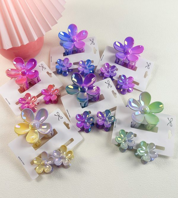 Gradient Aesthetic Daisy Hair Claw