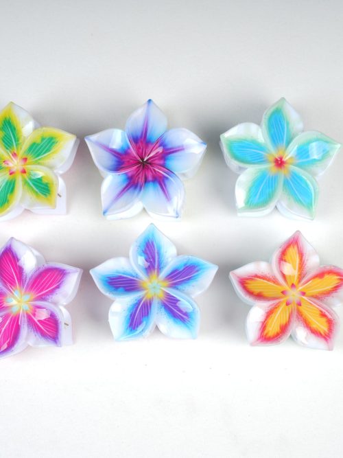 Colorful Floral Resin Hair Clips