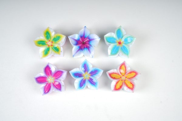 Colorful Floral Resin Hair Clips