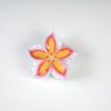 Colorful Floral Resin Hair Clips