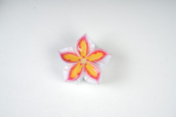 Colorful Floral Resin Hair Clips