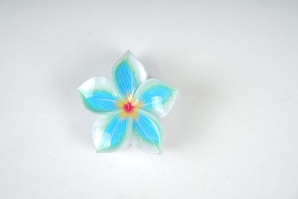 Colorful Floral Resin Hair Clips