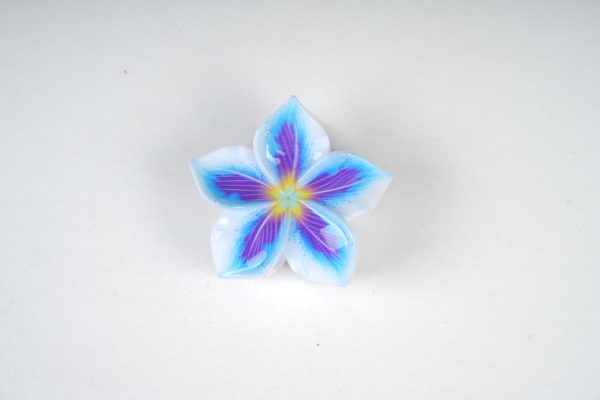Colorful Floral Resin Hair Clips