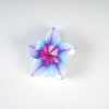 Colorful Floral Resin Hair Clips