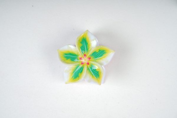 Colorful Floral Resin Hair Clips