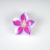 Colorful Floral Resin Hair Clips