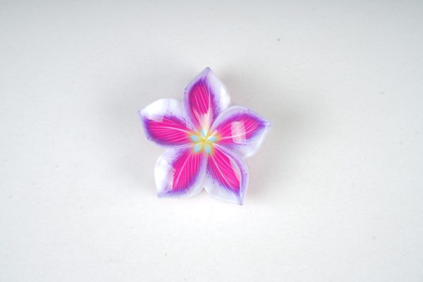 Colorful Floral Resin Hair Clips