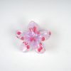 Transparent Floral Cherry Claw