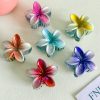Shimmer Gradient Plumeria Hair Claw