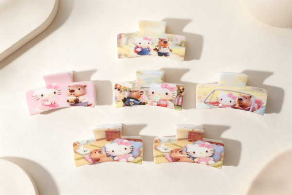 Wide Rectangle Cartoon Kitty & Capybara Hair Claws