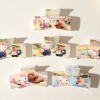 Curved Cartoon Kitty & Capybara Daily Hair Claw