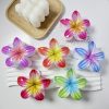 Striped Gradient Plumeria Flower Hair Claws