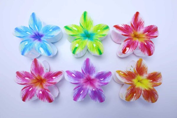 Watercolor Gradient Plumeria Flower Hair Claws