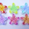 Bright Gradient Plumeria Flower Hair Claws