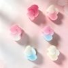 Gradient Frosted Double Heart Hair Clip