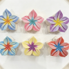 Rainbow Center Plumeria Hair Claw Clips