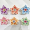 Tropical Gradient Plumeria Hair Claws