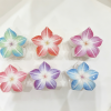 Glitter Gradient Plumeria Hair Claw Clips