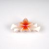 Gradient Plumeria Flower Hair Claw Clips