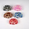 Translucent Shell-Shaped Gold Foil Hair Claw Clips