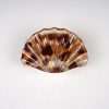 Translucent Shell-Shaped Gold Foil Hair Claw Clips