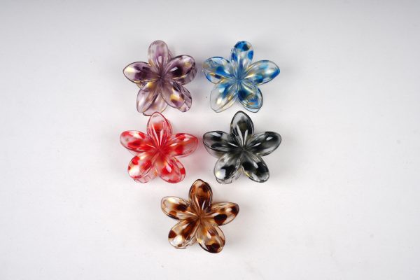 Translucent Shell-Shaped Gold Foil Hair Claw Clips