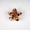 Translucent Shell-Shaped Gold Foil Hair Claw Clips