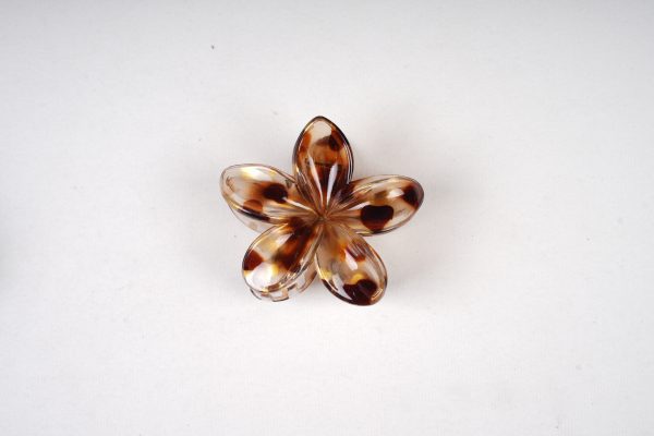 Translucent Shell-Shaped Gold Foil Hair Claw Clips