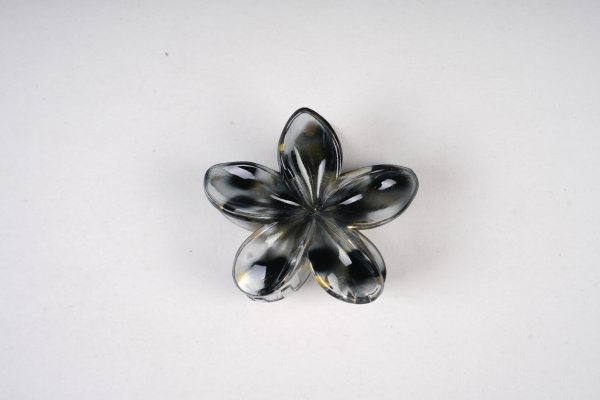 Translucent Shell-Shaped Gold Foil Hair Claw Clips