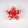 Translucent Shell-Shaped Gold Foil Hair Claw Clips