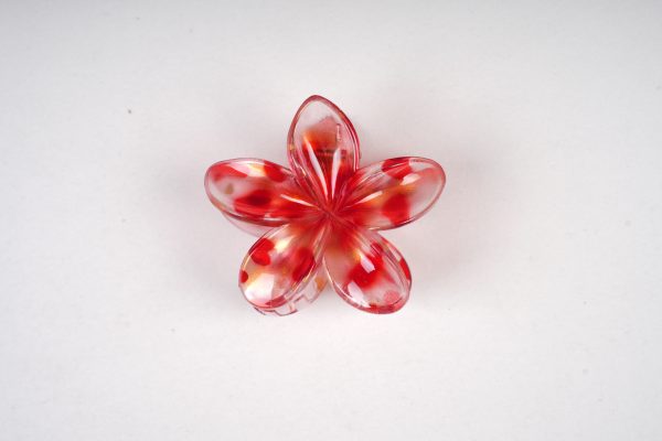 Translucent Shell-Shaped Gold Foil Hair Claw Clips