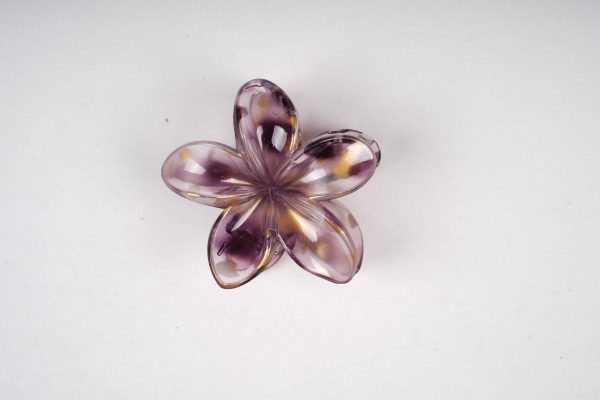 Translucent Shell-Shaped Gold Foil Hair Claw Clips