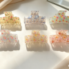 Ditsy Floral Transparent Hair Claw Clips