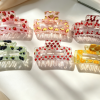 Summer Fruit Print Transparent Hair Claw Clips