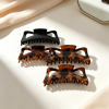 Matte & Tortoiseshell Hollow Out Claw Clips