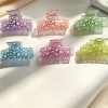 Transparent Daisy Print Hair Claw Clips